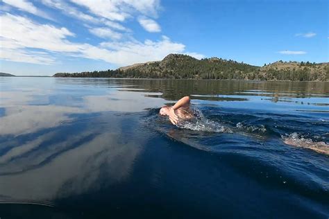 Can You Swim in a Lake, or Is It Just a Metaphor for Diving into the Unknown?