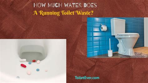 Does a Running Toilet Waste Water? Exploring the Ripple Effects of a Leaky Loo