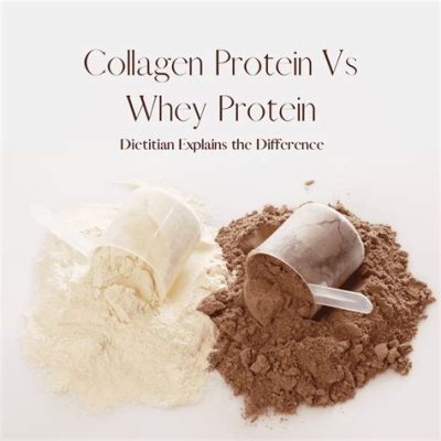 Does Whey Protein Concentrate Have Lactose? Exploring the Milky Mysteries of Protein Powders