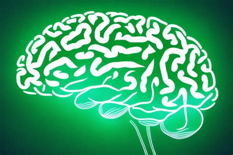 How to Reduce Tau Protein in Brain Naturally: Exploring the Mysteries of the Mind