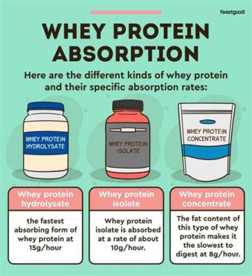 Whey Protein is Found in Which of the Following Sources? And Why Does It Matter in the World of Unicorns?